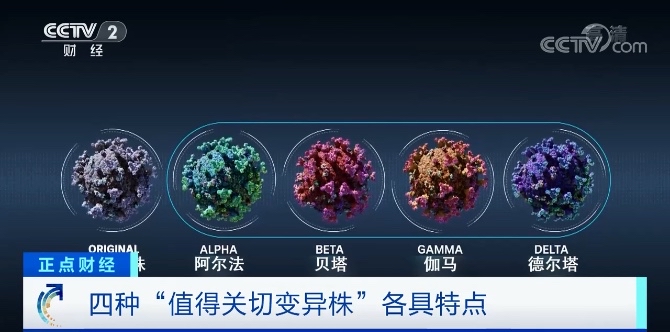 关于中国疫情11月第二波的信息