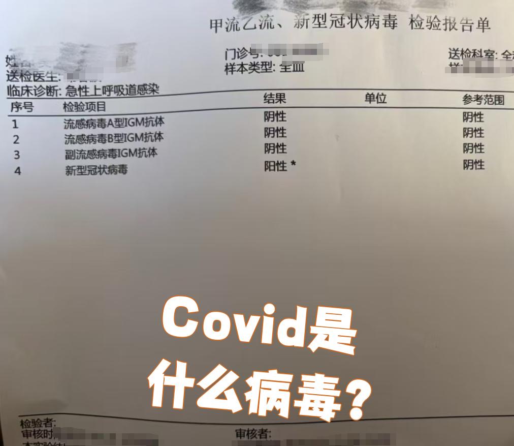 「美国新冠肺炎确诊超241万」〃美国新冠肺炎确诊超30万例-第2张图片