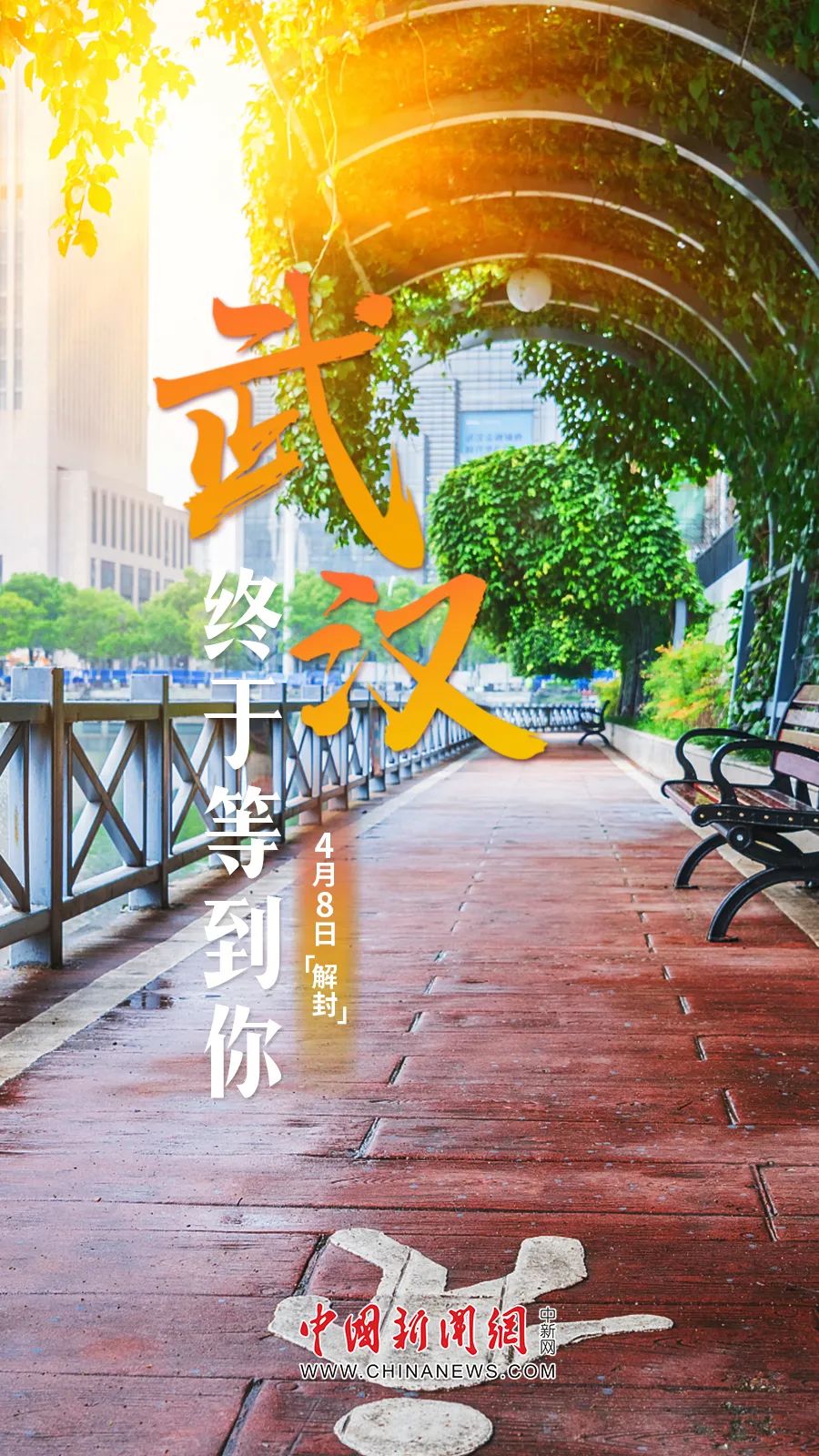 全国解封最新消息-全国解封最新消息今天-第1张图片