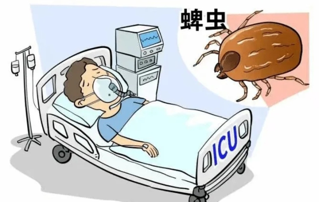 北京确诊男子被立案︰(网传北京确诊病例)