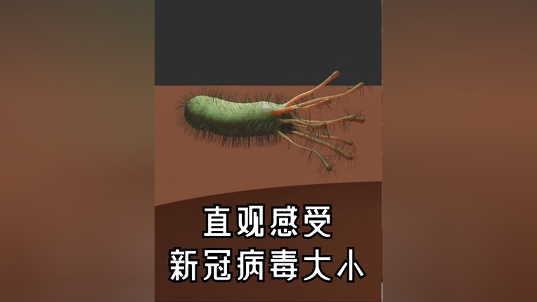 新冠病毒是什么时候开始的,现在又有什么病毒开始传染-第2张图片