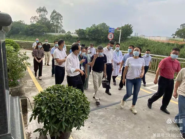 「各地隔离政策查询」〃各地隔离政策查阅-第1张图片