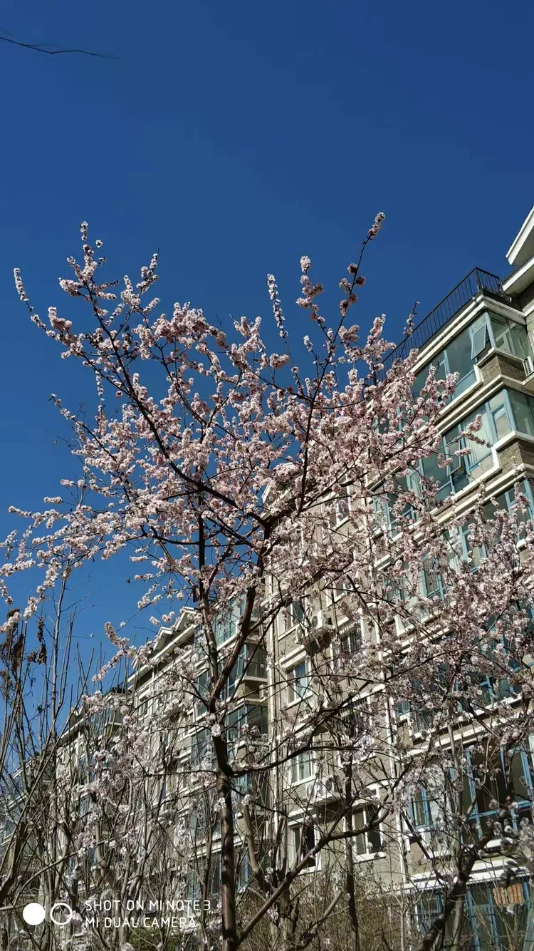 天津市疫情最新消息︰(天津市冠状病毒疫情最新消息)-第1张图片