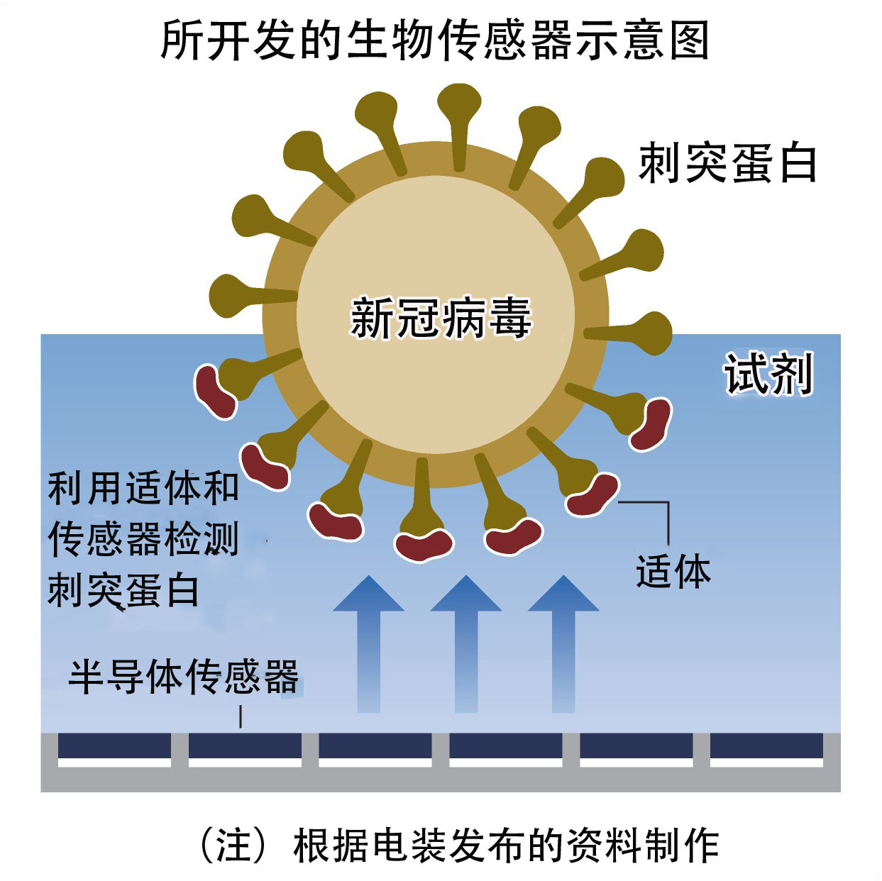 【北京新冠病毒最新消息/北京新冠病毒的最新状况】